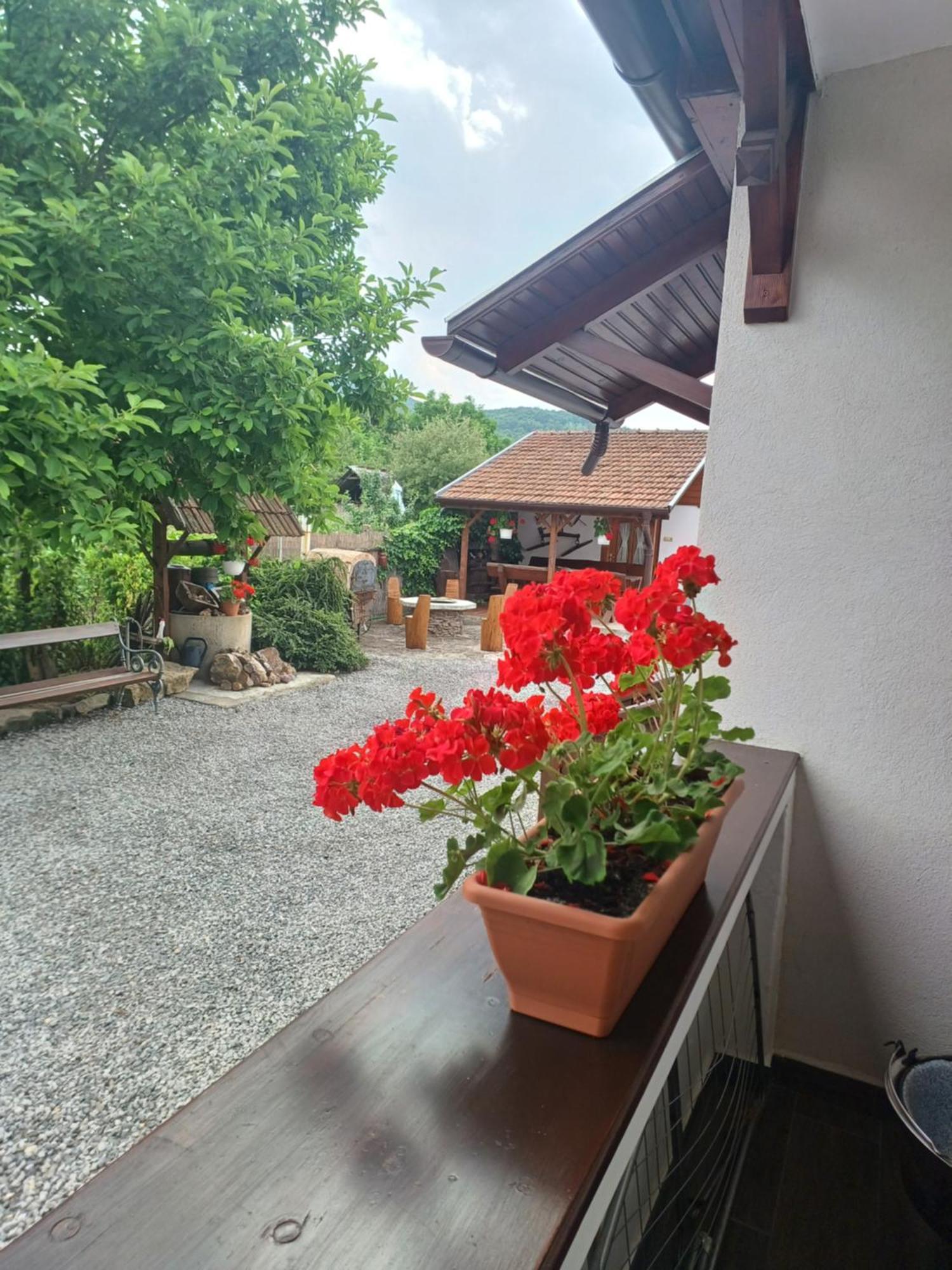 Kazsimer Vendeghaz Erdohorvati Exterior foto